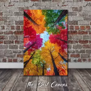 Upward view / Forest Art